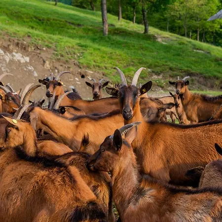 Alloggio per agriturismo Casapasserini
