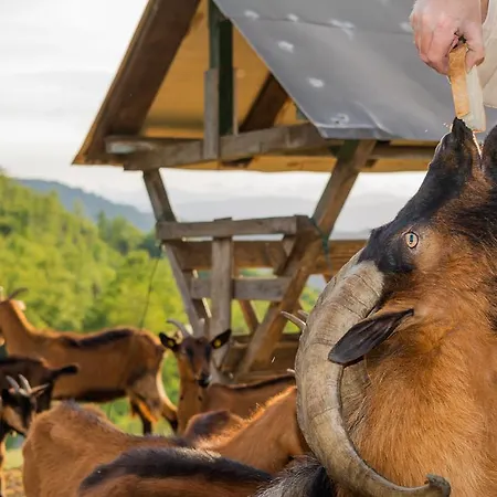 Alloggio per agriturismo Casapasserini Londa