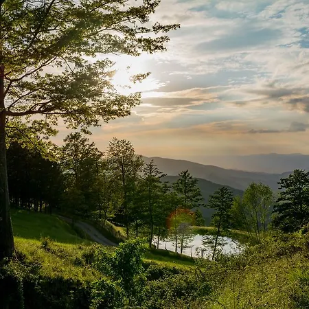 Casapasserini * Londa