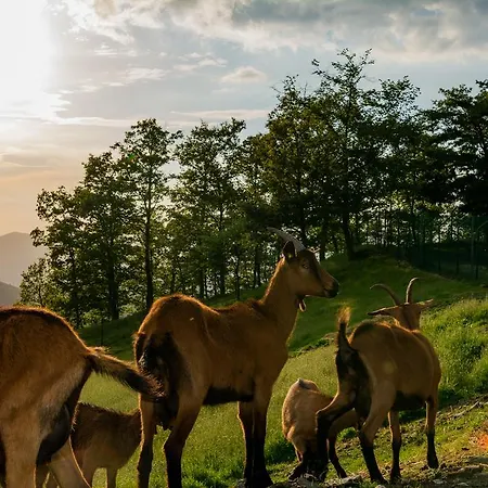Casapasserini Alloggio per agriturismo Londa