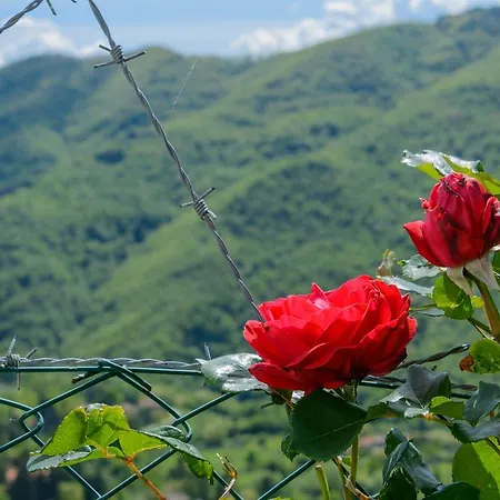 Alloggio per agriturismo Casapasserini *